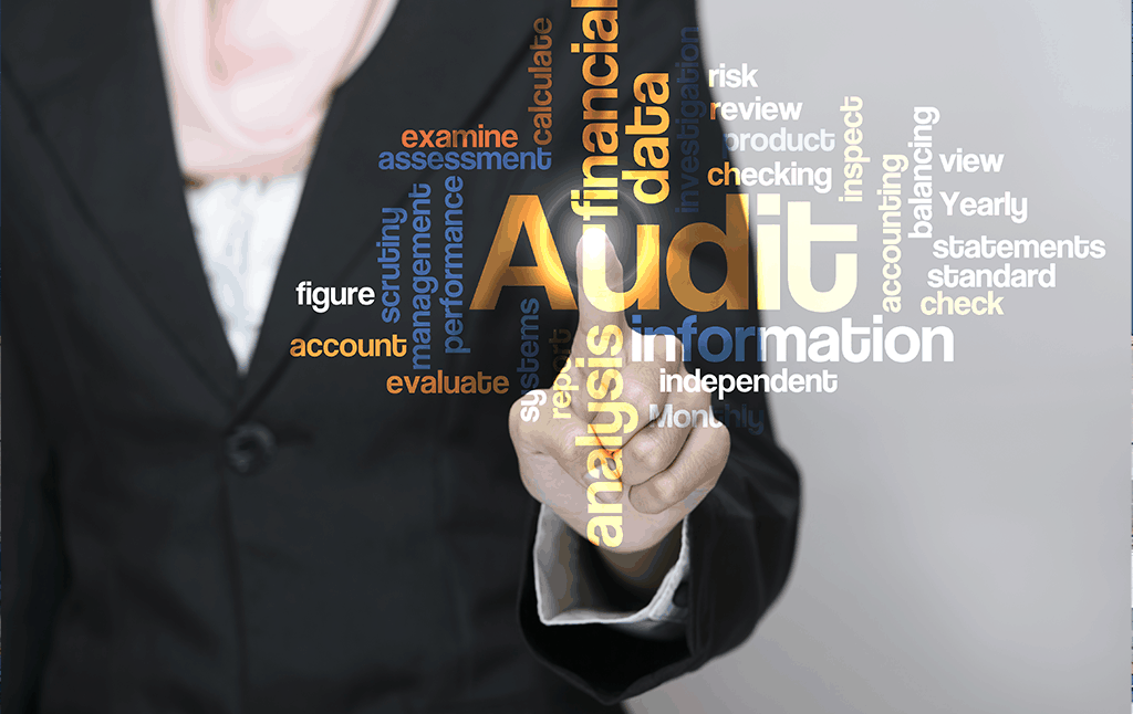 Audit and Assurance services in Kenya 